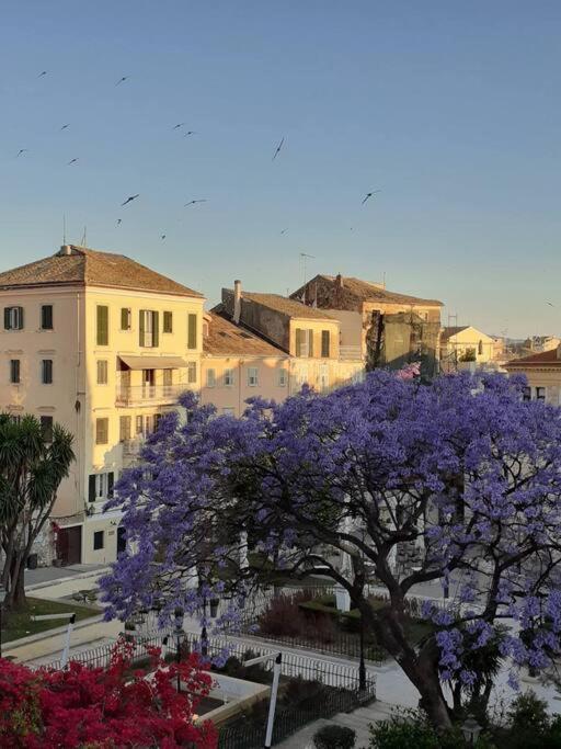 Appartement Old Town Corfu Romantic Studio Manto Nymfes Extérieur photo